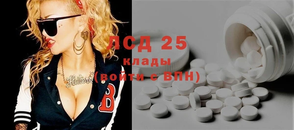 сатива Беслан